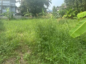 Plot Area in  Plot at Punkunnam – for Sale