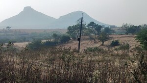 Plot Area in  Industrial Plot at Peth Road – for Sale