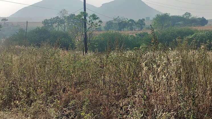 undefined, peth road Commercial Industrial Plot 300 Sq.Yd. In Peth Road Nashik 9573191