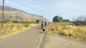 Plot Area in  Industrial Plot at Peth Road – for Sale