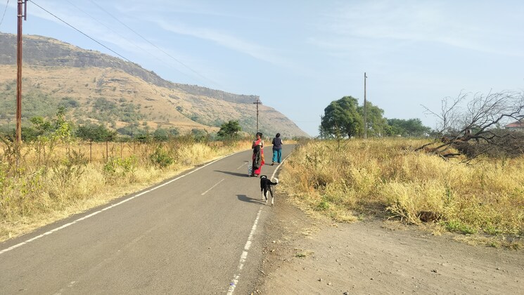 undefined, peth road Commercial Industrial Plot 300 Sq.Yd. In Peth Road Nashik 9573191