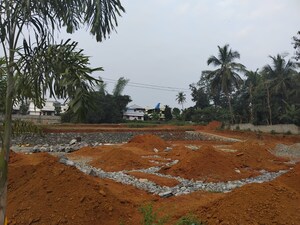  Plot For Sale in Olavakkode