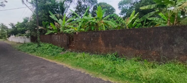 undefined, chembukkavu  6534 Sq.Ft. Plot In Chembukkavu Thrissur 9573466