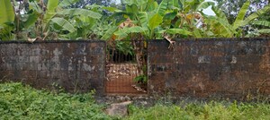  Plot – Exterior View View at Chembukkavu - for Sale