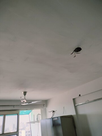 Furnished Amenities in 3 BHK Apartment at Parker White Lily, Sector 8 – for Sale