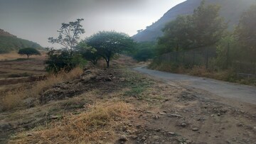  Plot For Sale in Peth Road