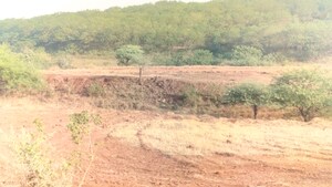 Plot Area in  Plot at Peth Road – for Sale