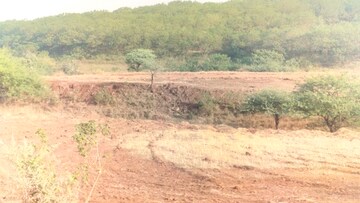 Plot Area in  Plot at Peth Road – for Sale