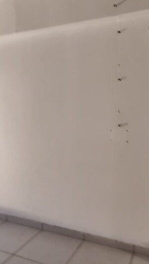 Room in  Office Space at Ratnanjali Solitaire, Satellite – for Rent