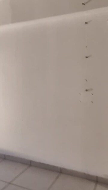 Room in  Office Space at Ratnanjali Solitaire, Satellite – for Rent