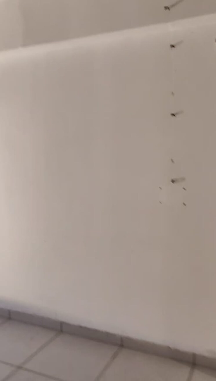 Room, ratnanjali-solitaire Commercial Office Space 1000 Sq.Ft. In Satellite Ahmedabad 9574149