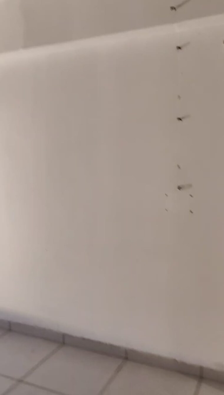 Room, ratnanjali-solitaire Commercial Office Space 1000 Sq.Ft. In Satellite Ahmedabad 9574149