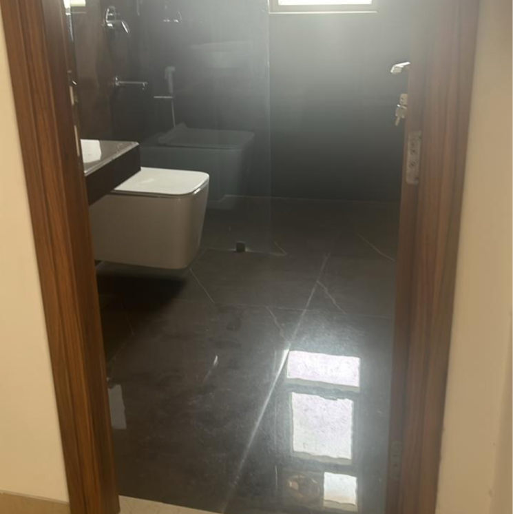Bathroom, shalimar-belvedere-court 4 Bedroom 1919 Sq.Ft. Apartment In Malesemau Lucknow 9574287