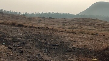 Plot Area in  Plot at Dindori Road – for Sale