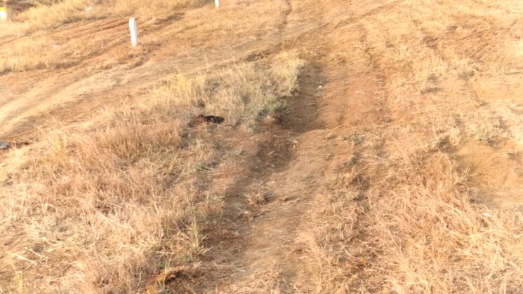 undefined, dindori road  130 Sq.Yd. Plot In Dindori Road Nashik 9574365