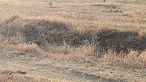 Plot Area in  Plot at Dindori Road – for Sale