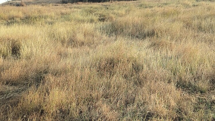 undefined, dindori road  130 Sq.Yd. Plot In Dindori Road Nashik 9574365