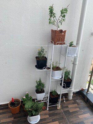 Team Area in 2 BHK Apartment at Kolte Patil Life Republic, Hinjewadi – for Rent