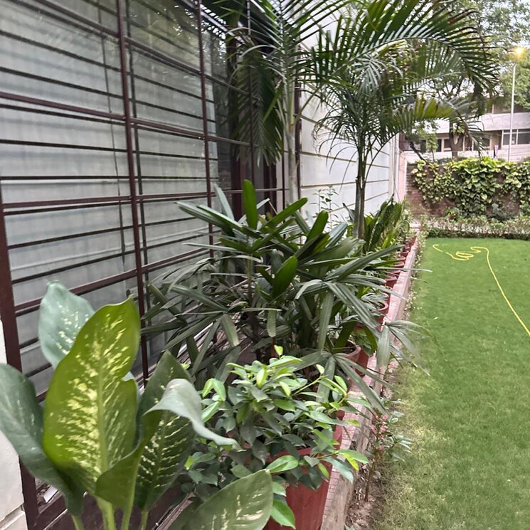 Garden, sector 37 3 Bedroom 2450 Sq.Ft. Apartment In Sector 37 Chandigarh 9574801