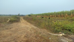 Plot Area in  Plot at Dindori – for Sale