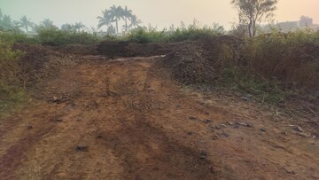 Plot Area in  Plot at Dindori – for Sale