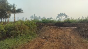 Plot Area in  Plot at Dindori – for Sale