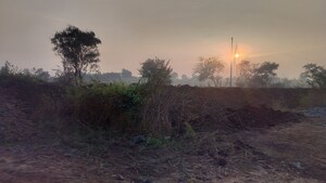 Plot Area in  Plot at Dindori – for Sale