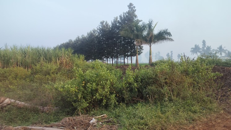 undefined, dindori  100 Sq.Yd. Plot In Dindori Nashik 9574909