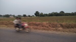 Plot Area in  Plot at Mohadi – for Sale