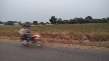 Plot Area in  Plot at Mohadi – for Sale