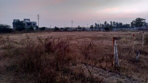 Plot Area in  Plot at Mohadi – for Sale