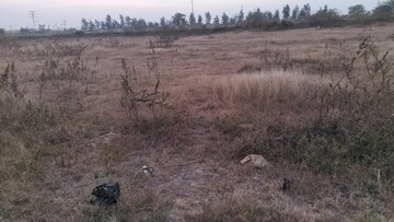 Plot Area in  Plot at Mohadi – for Sale