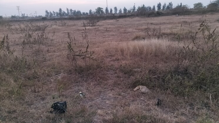 undefined, mohadi  1088 Sq.Yd. Plot In Mohadi Nashik 9575436