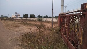 Plot Area in  Plot at Mohadi – for Sale