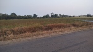 Plot Area in  Plot at Mohadi – for Sale