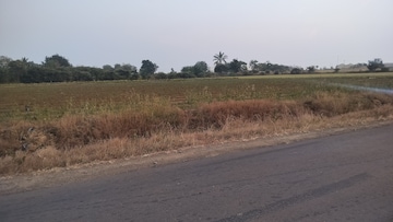 Plot Area in  Plot at Mohadi – for Sale