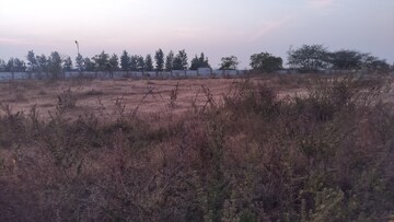 Plot Area in  Plot at Mohadi – for Sale