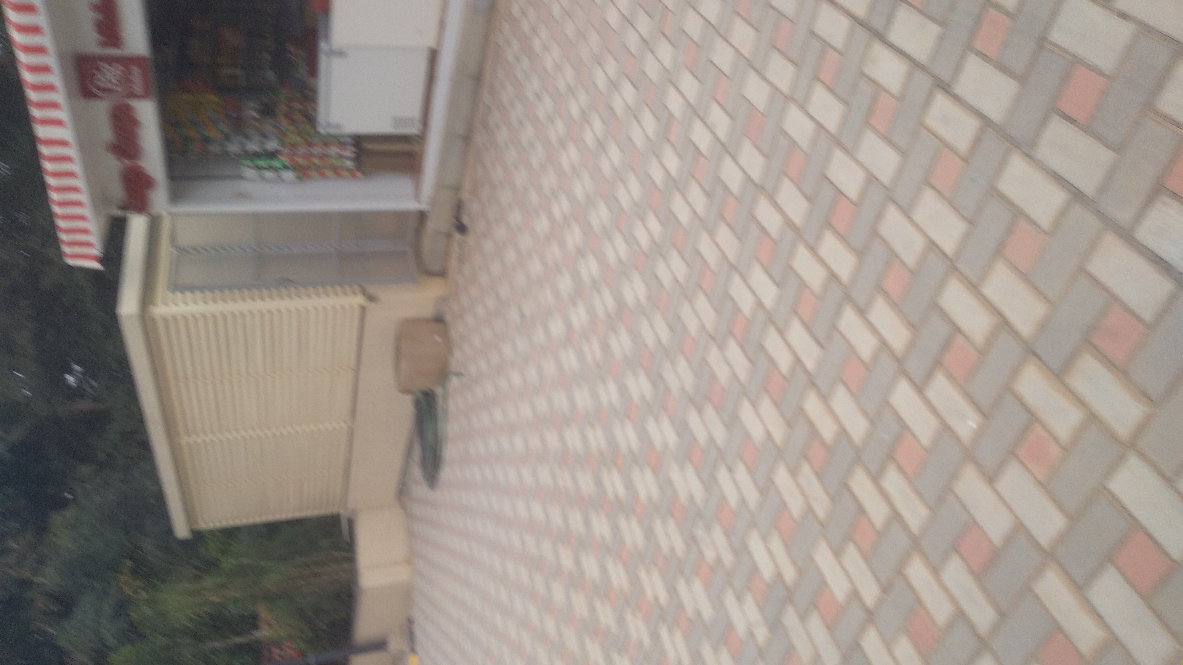 3 BHK Apartment For Rent in Helio at Brigade El Dorado