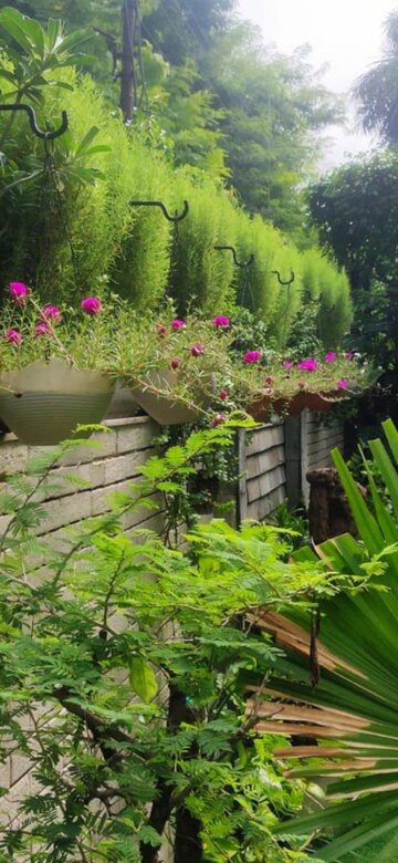 3 BHK Independent House – Garden View at RWA Apartments Sector 40, Sector 40 - for Rent