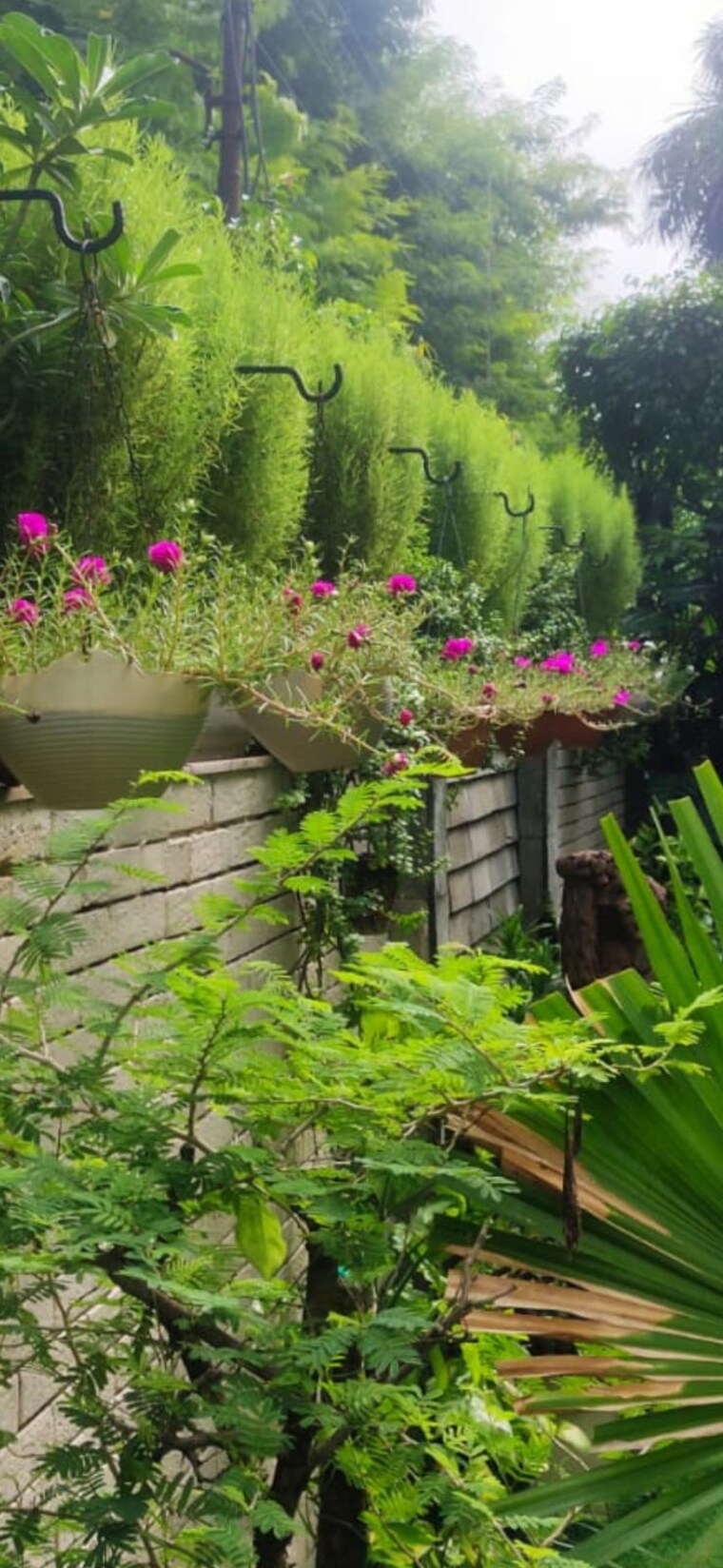 Garden, rwa-apartments-sector-40 3 Bedroom 350 Sq.Mt. Independent House In Sector 40 Noida 9576090