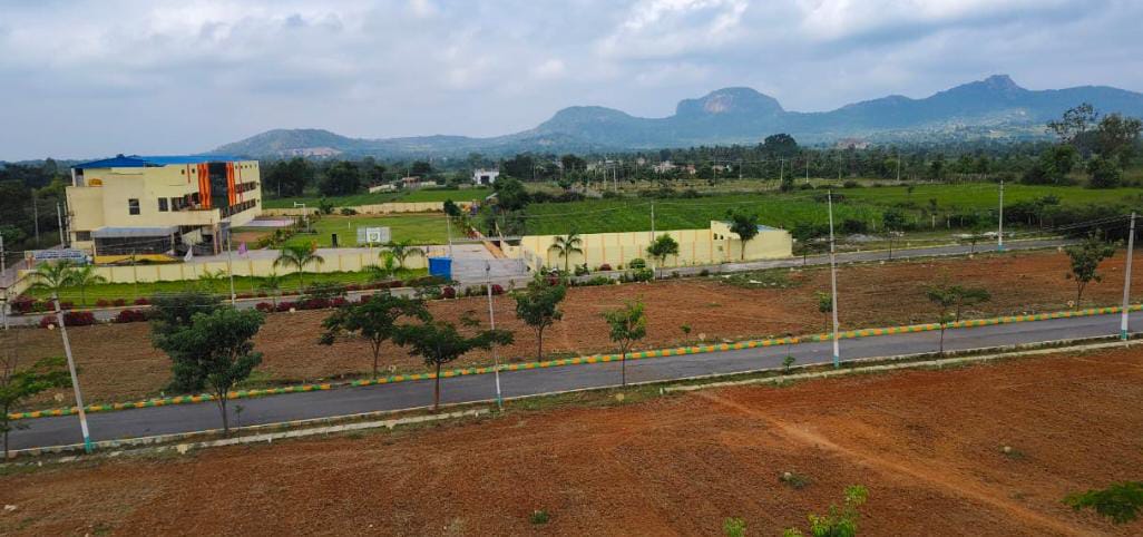 Plot For Sale in Siya Meadows 