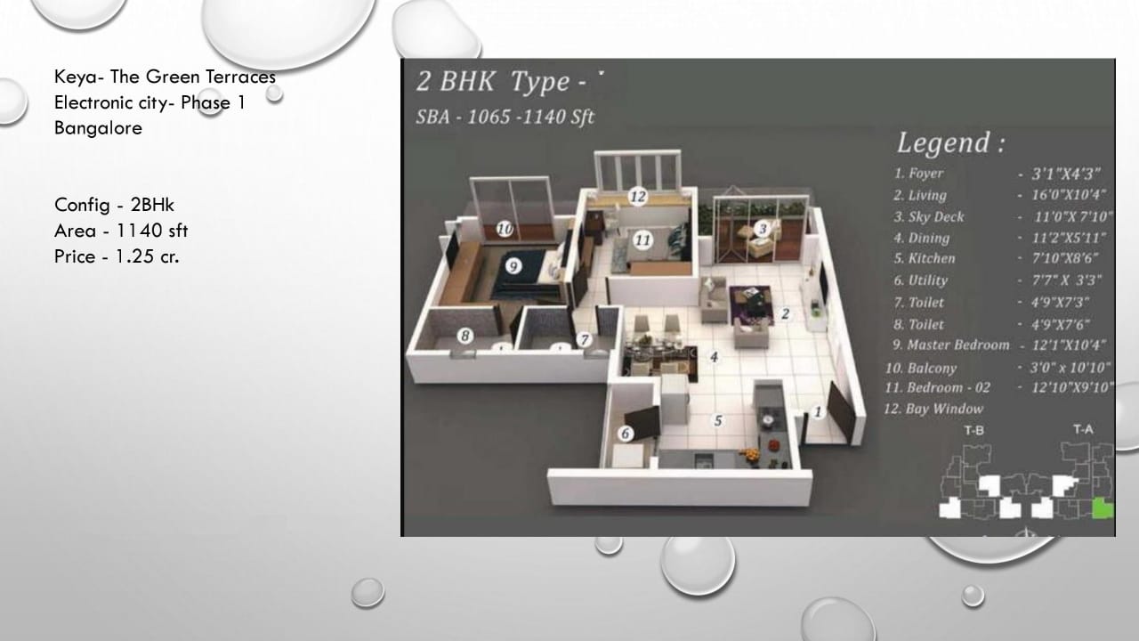 2 BHK 1120 Sq.Ft. Apartment in Keya Homes The Green Terraces