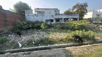 Plot for Sale in Ashiyana, Lucknow