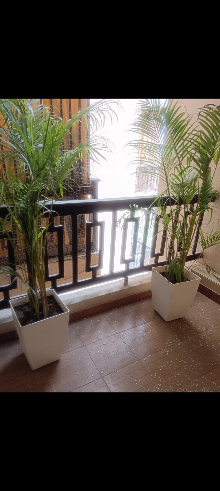 Balcony, forever-prabhat-heights 2 Bedroom 1800 Sq.Ft. Apartment In Dundahera Ghaziabad 9576320