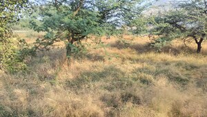 Plot Area in  Plot at Peth Road – for Sale