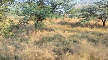 Plot Area in  Plot at Peth Road – for Sale