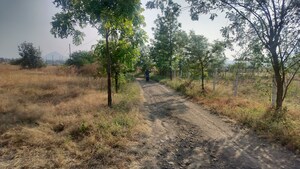 Plot Area in  Plot at Peth Road – for Sale