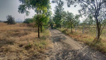 Plot Area in  Plot at Peth Road – for Sale