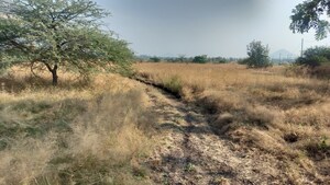 Plot Area in  Plot at Peth Road – for Sale