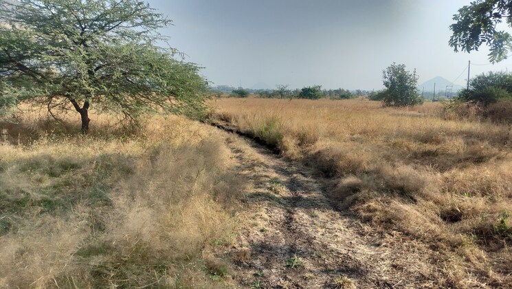 undefined, peth road  10890 Sq.Yd. Plot In Peth Road Nashik 9576661